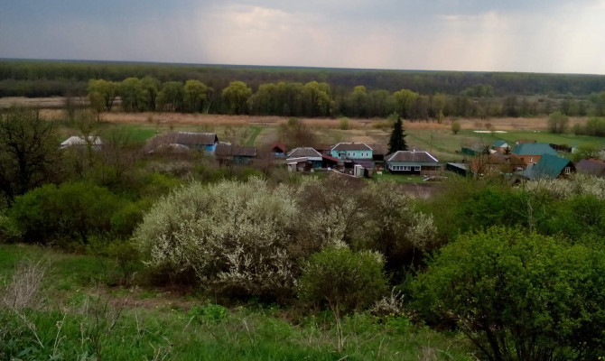 «На крепкой семье держится государство»